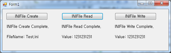 read and write ini file vb net