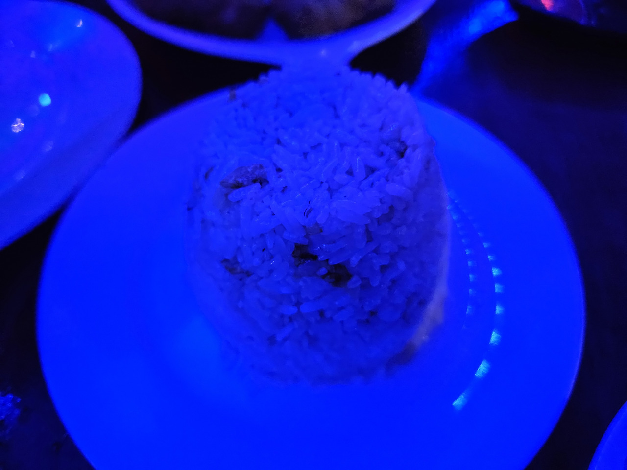 필리핀 보홀 단비리조트 근처 MOSA, spindrift 현지 음식점 맛집 후기 34 ywAAAAAAQABAAACAUwAOw==