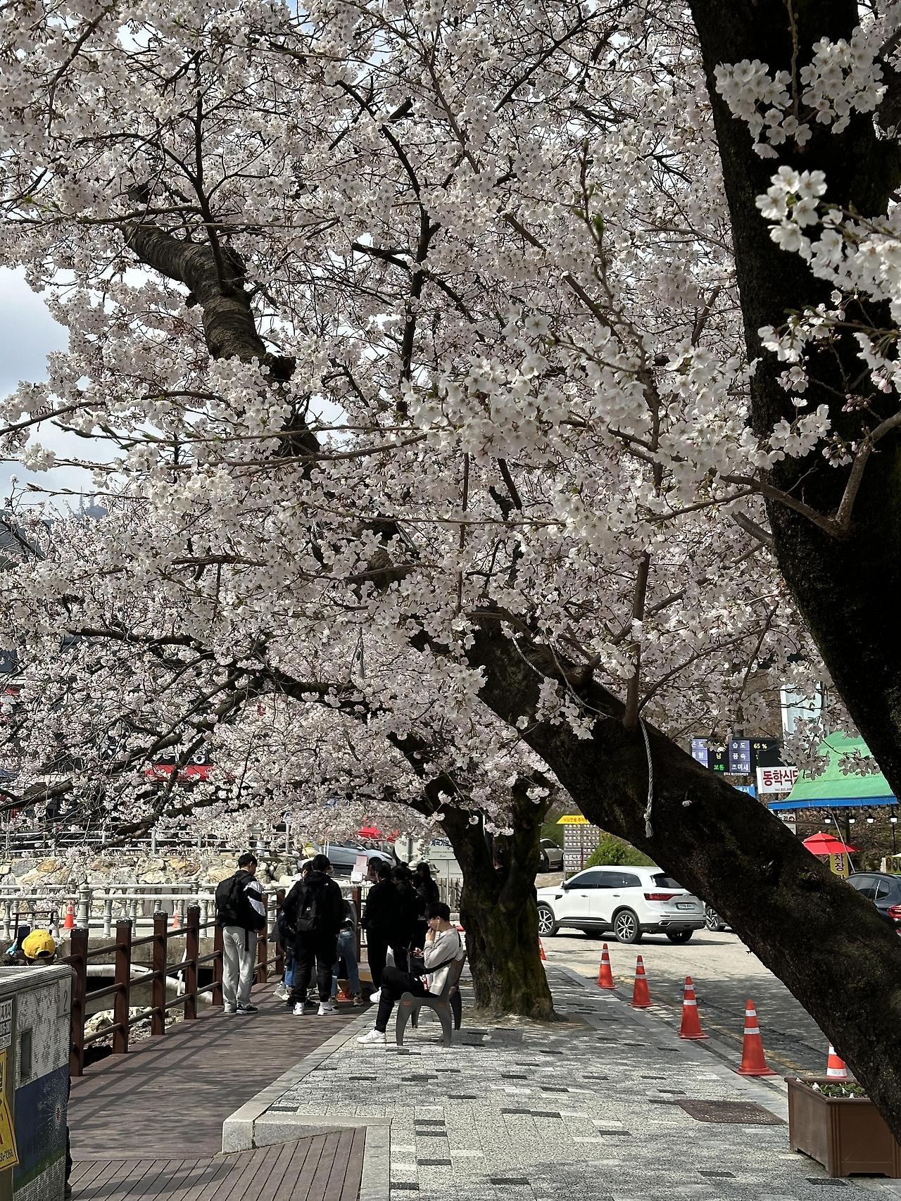 대전 가볼만한곳 계룡산 등산 후기 (동학사-남매탑-삼불봉-관음봉-은선폭포-동학사)