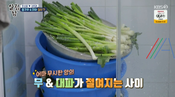 살림남 마약 김치 양념장, 총각무 김치 & 대파 김치 담그기 만들기 만드는 법 레시피, 정성윤 임성근 김장 김치 담그는법 만들기 레시피 - 2시간 김장김치 + 비법 양념장 9 ywAAAAAAQABAAACAUwAOw==