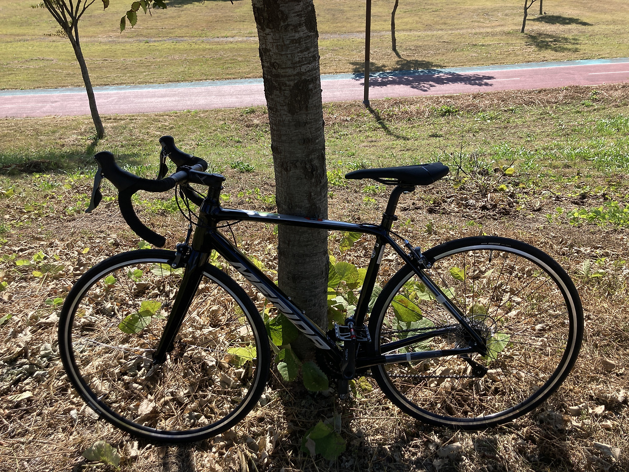 자전거 라이딩 영상 프로그램