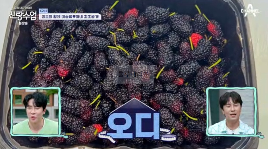 신랑수업 이승철 오디 승무디 주스 만들기 레시피 - 활력업 쥬스 2 ywAAAAAAQABAAACAUwAOw==