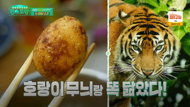 편스토랑 호랑이 달걀 레시피 만드는법 - 어남선생 류수영 달걀 요리 13 ywAAAAAAQABAAACAUwAOw==