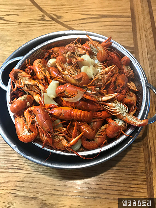 [미국 특파원] 미국 민물가재, Crayfish