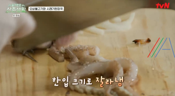 슬기로운산촌생활 오삼불고기 레시피 만드는 법 - 조정석 오징어삼겹살볶음 9 ywAAAAAAQABAAACAUwAOw==