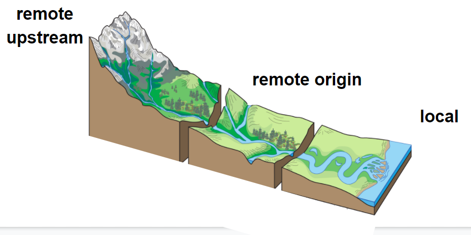 upstream origien