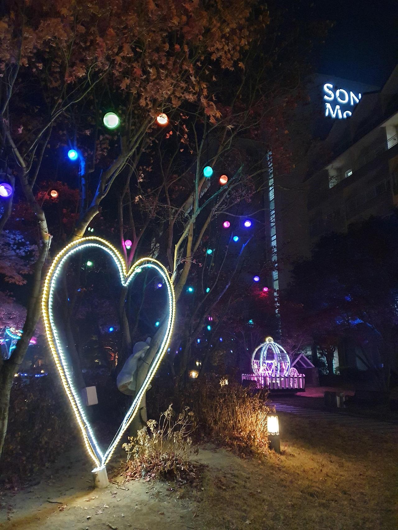 양평 소노문리조트(구.대명리조트)야외정원 산책길 14 ywAAAAAAQABAAACAUwAOw==