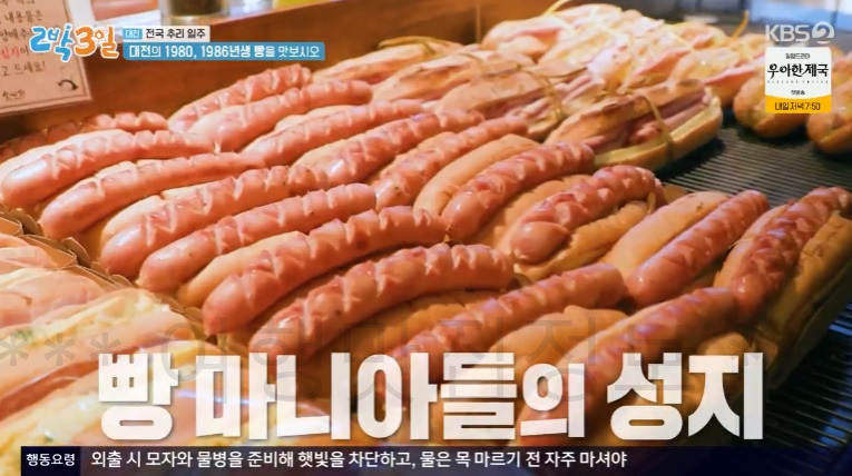 2박3일 대전 1980, 1986년생 빵을 맛보시오 빵집 촬영지 위치 어디? 튀김소보로 부추빵 팥빙수 단팥빵 빵지순례 맛집 핫플 3 ywAAAAAAQABAAACAUwAOw==