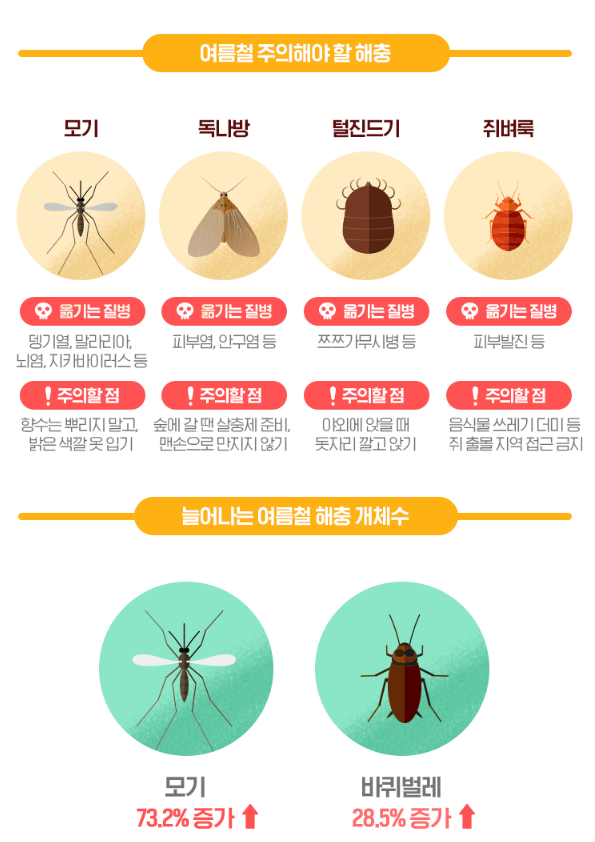 [여름해충] 여름철해충 퇴치방법