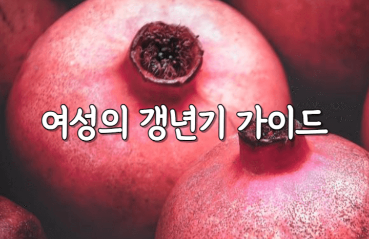 여성의 갱년기에 관한 궁금증 1 갱년기 가이드