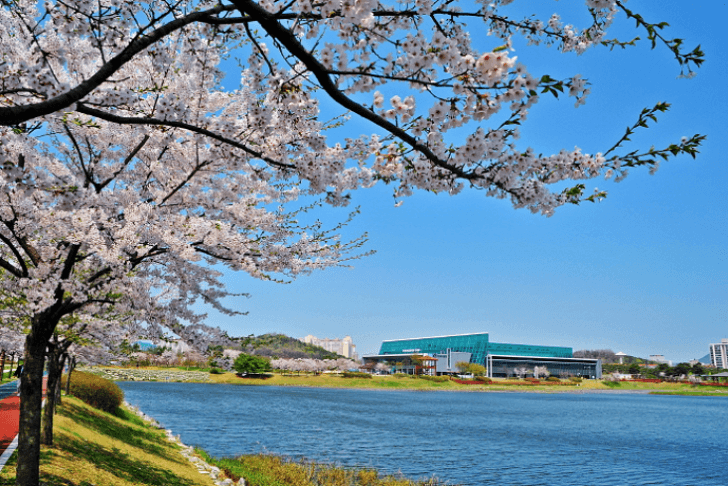 안산 가볼만한곳 베스트4(안산 여행지) :: 피지컬 스토리