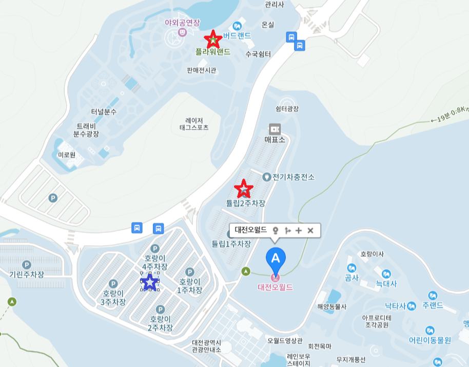대전 오월드 나이트 유니버스 가족 여행, 데이트 추천 (22시 야간개장)