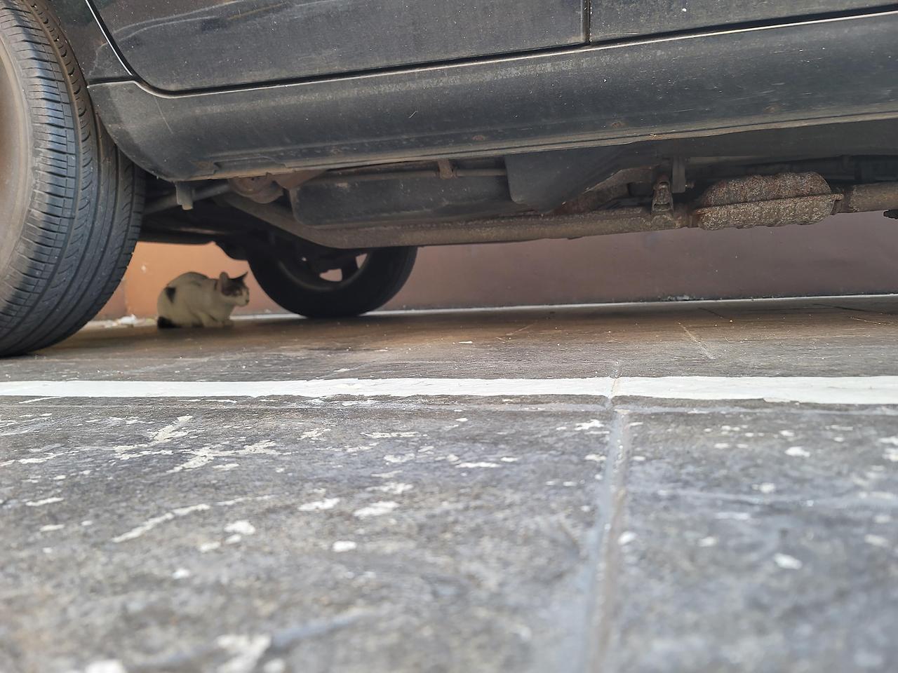 ?scode=mtistory2&fname=https%3A%2F%2Fblo