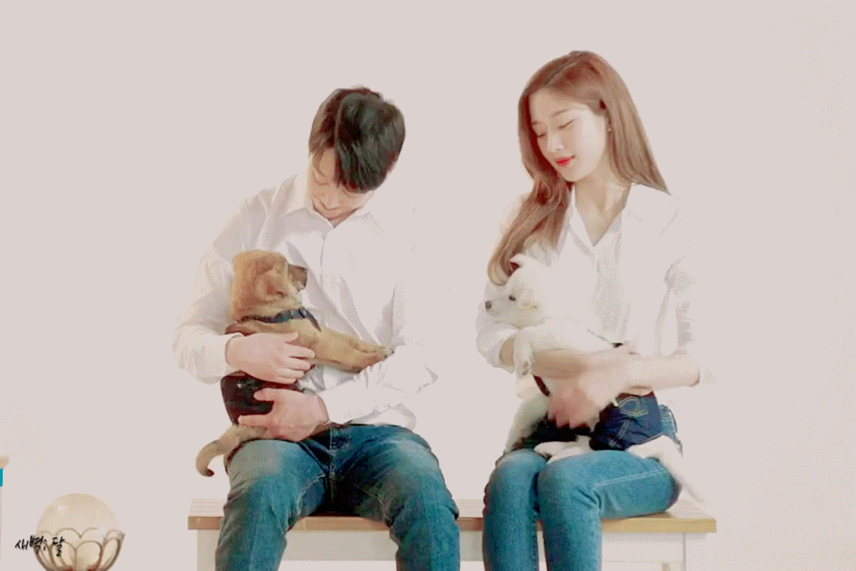 ?scode=mtistory2&fname=https%3A%2F%2Fblo