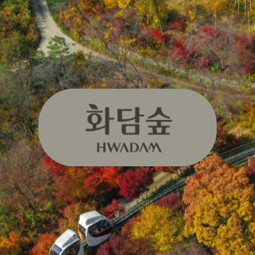 아로스 팝업