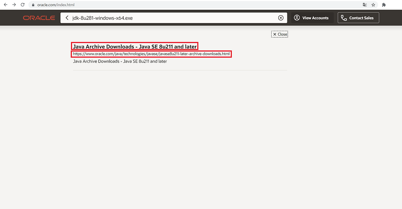 download java se development kit 8u281