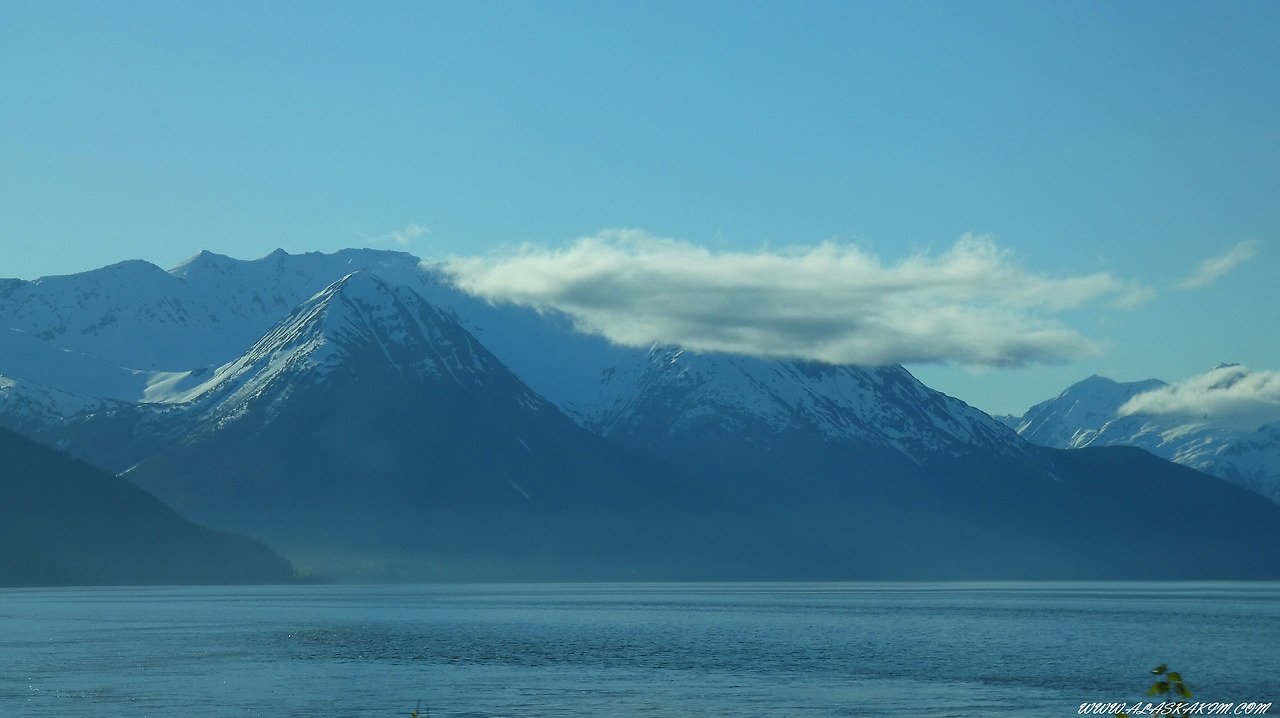 알래스카" 설산과 바다와 함께 하는 기차여행 "