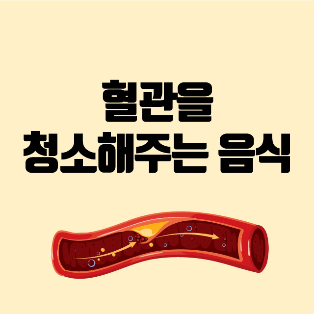 혈관 청소