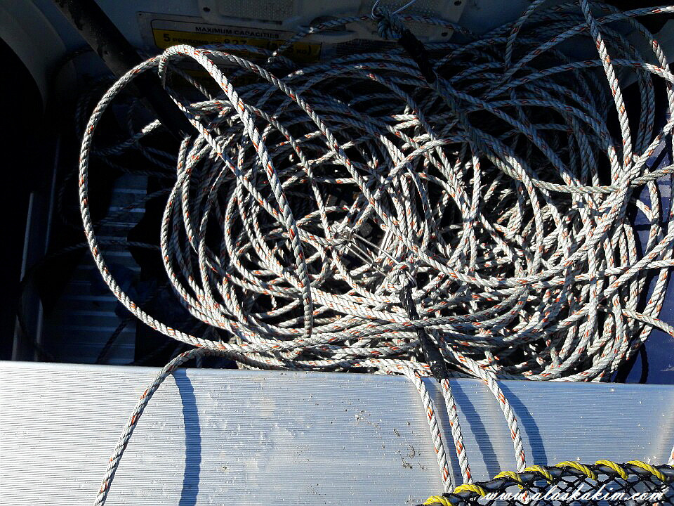 알래스카" 새우 잡는 법을 공개 합니다 "