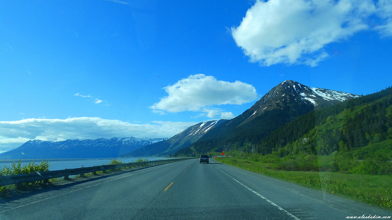 알래스카" 다양한 총들을 구경하다 "
