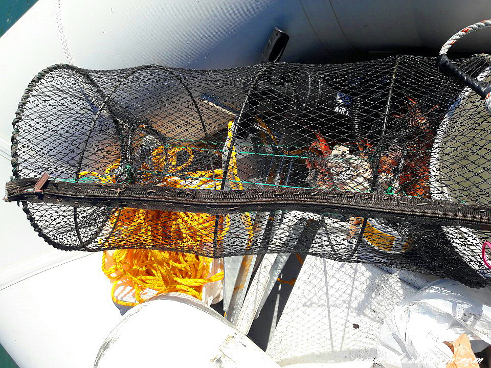 알래스카" 새우 잡는 법을 공개 합니다 "