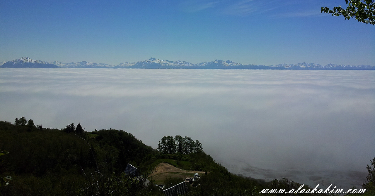 알래스카" 호머의 Farmer's market "