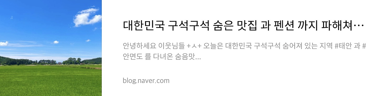 네이버 후기 4