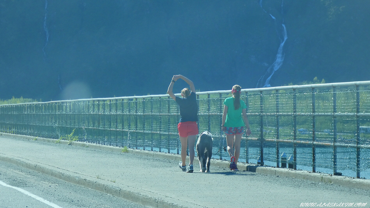 알래스카" 설산과 바다와 함께 하는 기차여행 "