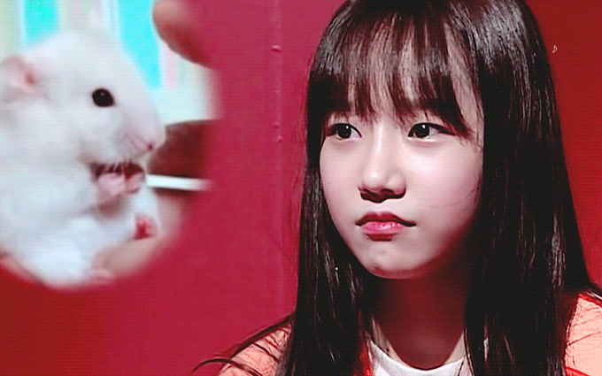 theqoo inserted image