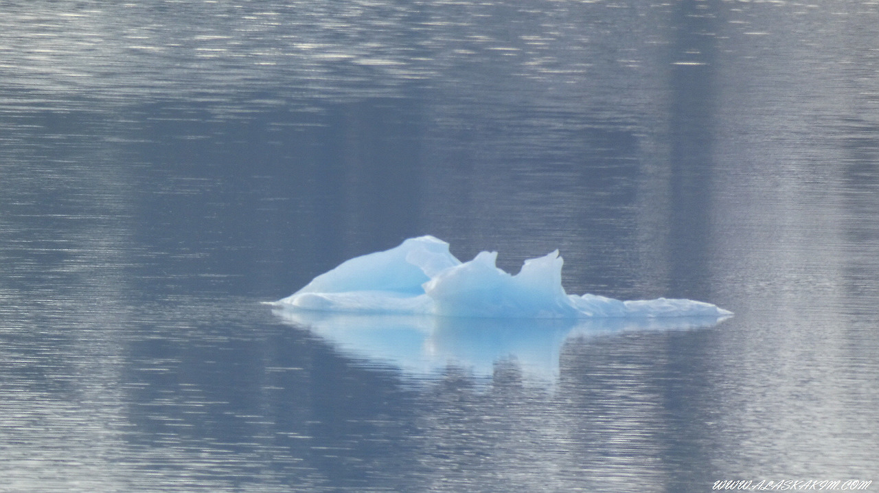 알래스카" 설산과 바다와 함께 하는 기차여행 "