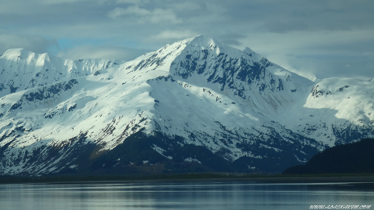 알래스카" 설산과 바다와 함께 하는 기차여행 "