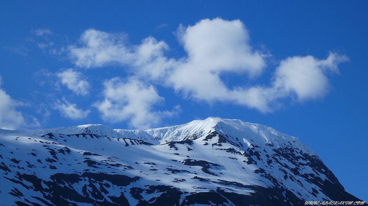 알래스카" 설산과 바다와 함께 하는 기차여행 "