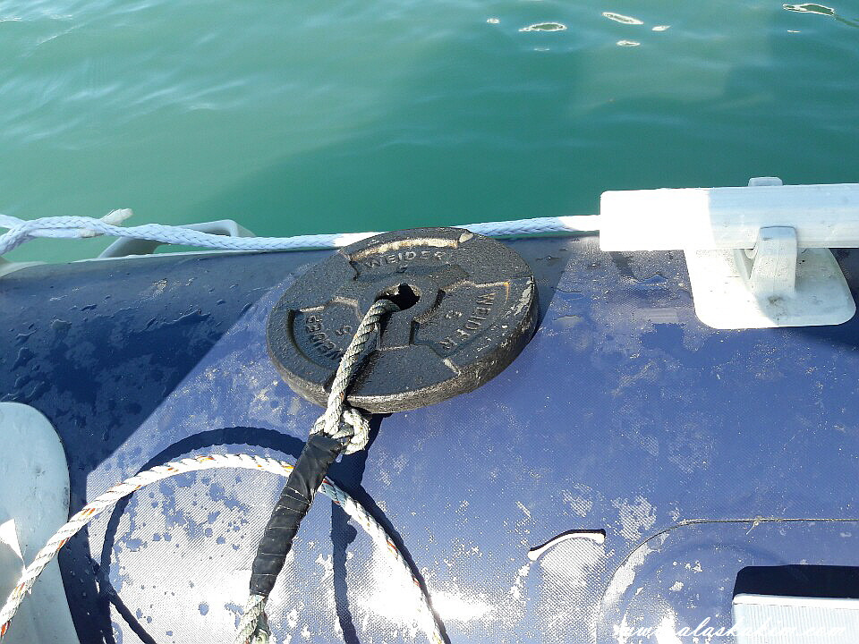 알래스카" 새우 잡는 법을 공개 합니다 "