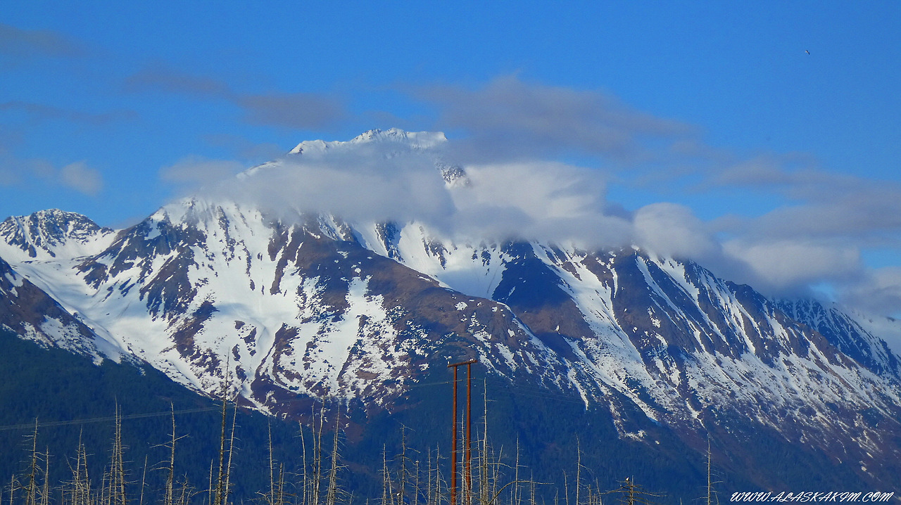 알래스카" 설산과 바다와 함께 하는 기차여행 "