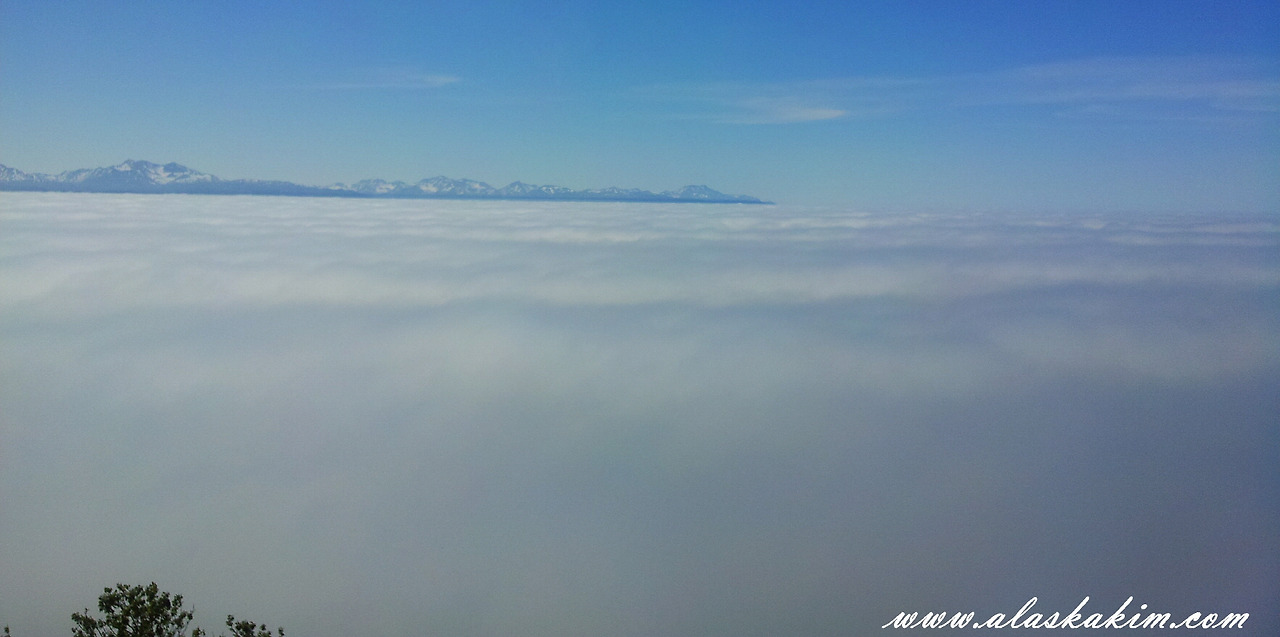 알래스카" 호머의 Farmer's market "
