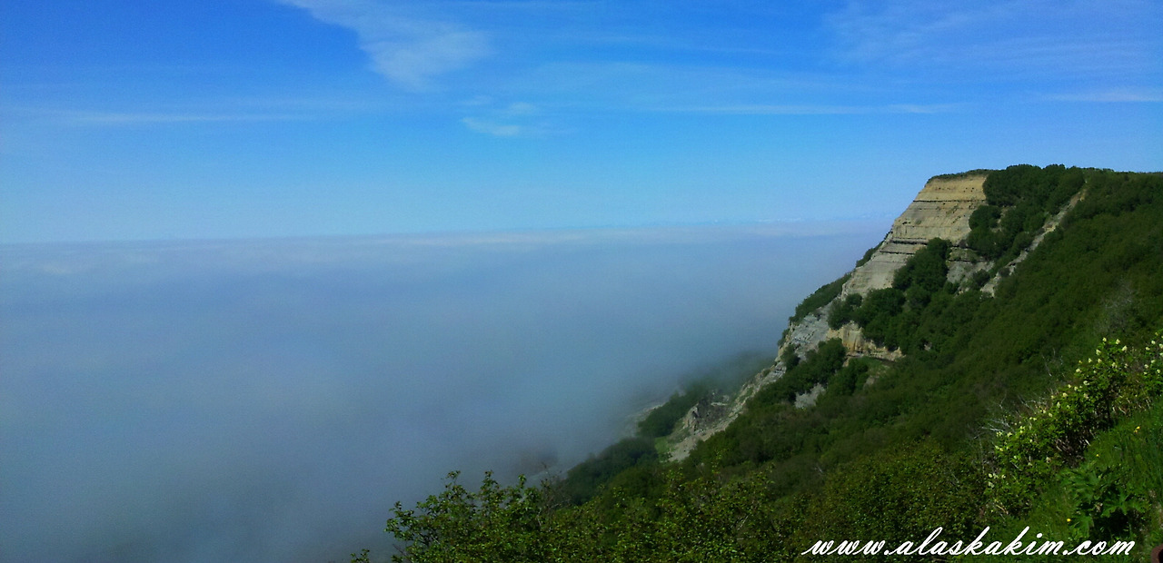 알래스카" 호머의 Farmer's market "