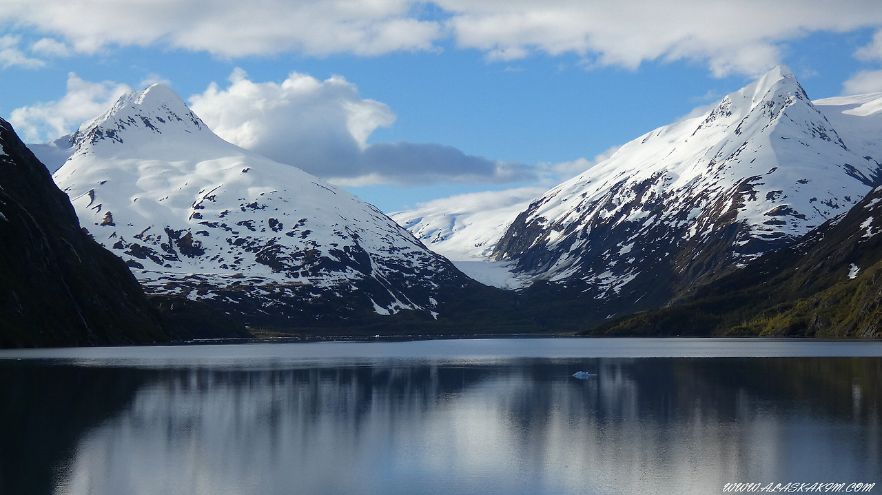 알래스카" 설산과 바다와 함께 하는 기차여행 "