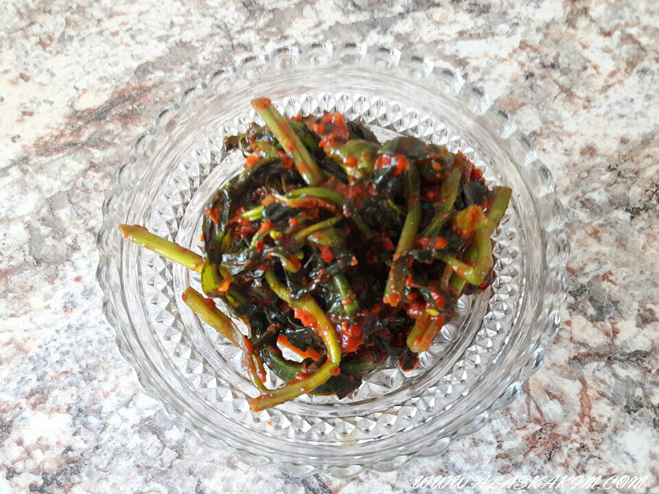 알래스카" 설산과 바다와 함께 하는 기차여행 "