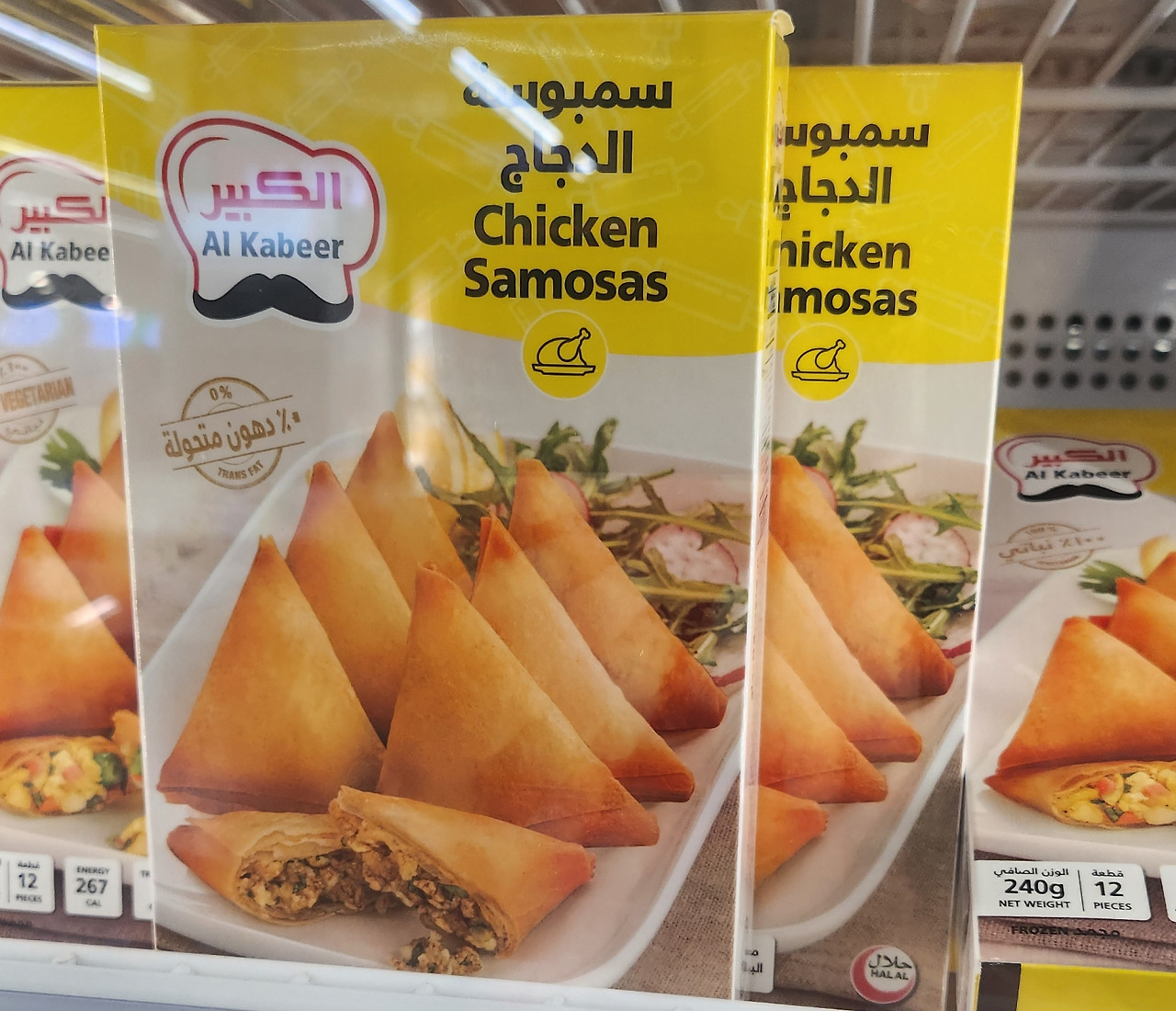 카지노 쿠폰