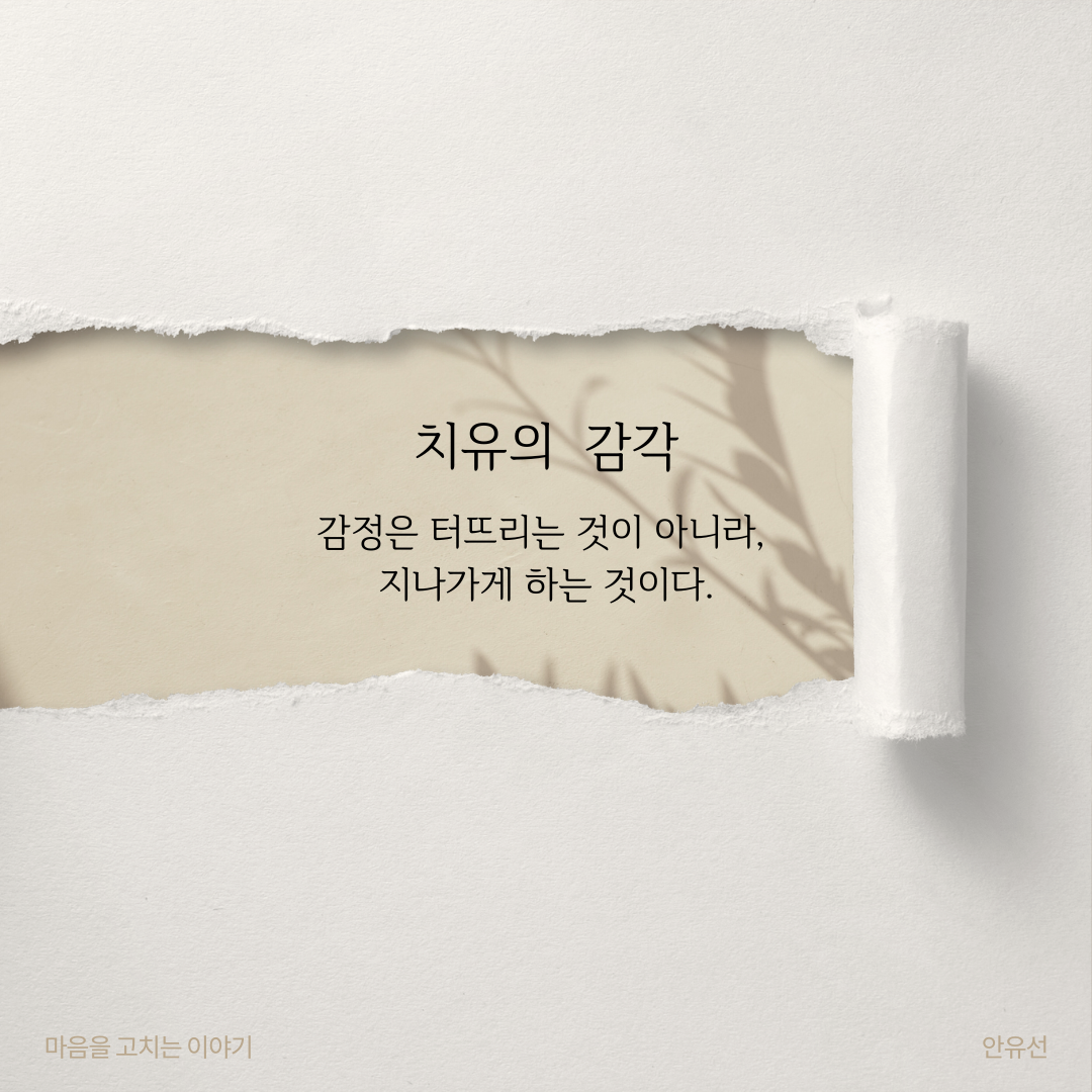 카지노 쿠폰