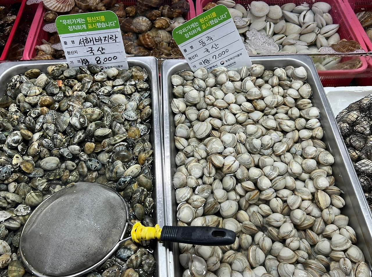 제철 새조개