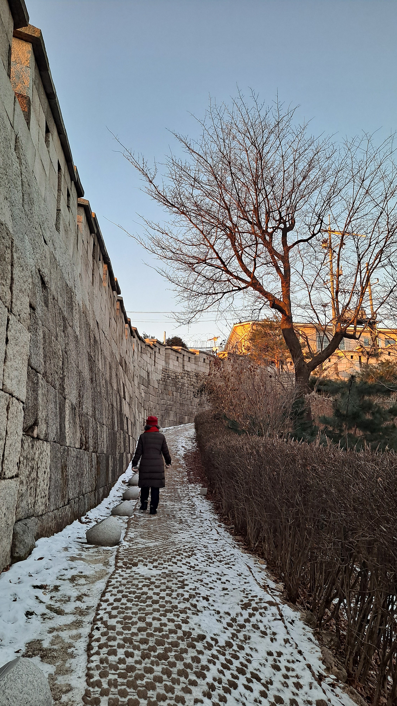 무료 카지노 게임