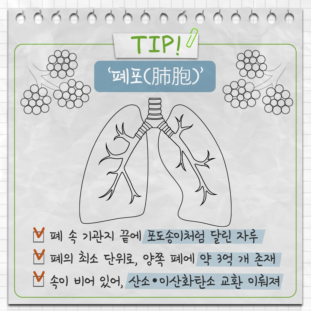 호흡 곤란 시 비닐봉지 호흡?