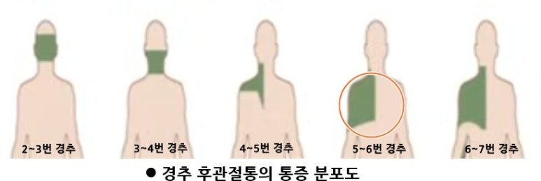 카지노 게임 추천