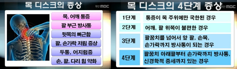 카지노 게임 추천