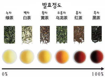 10. 녹차_증제차, 덖음차, 황차, 말차