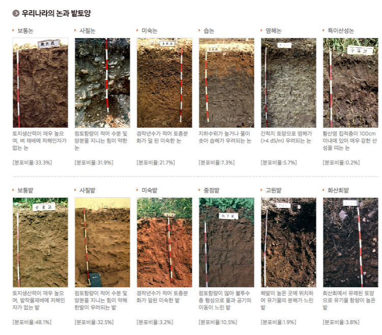 아이와 함께 흙 이야기 술술~