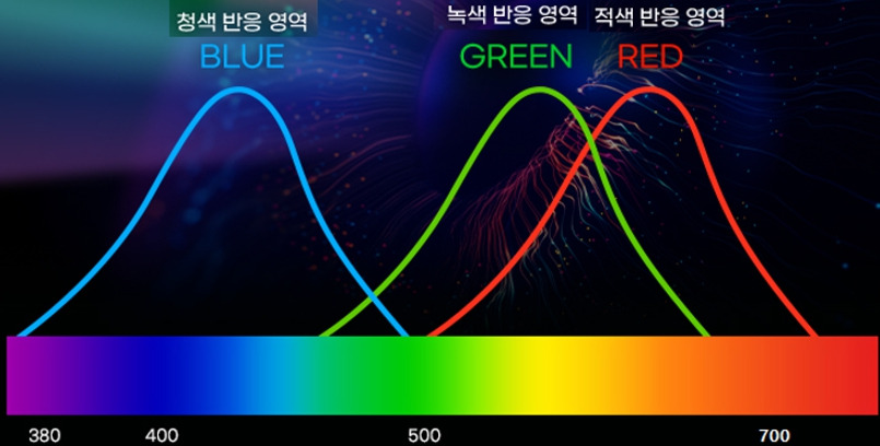 07화 빛의 조각이 그리는 세상