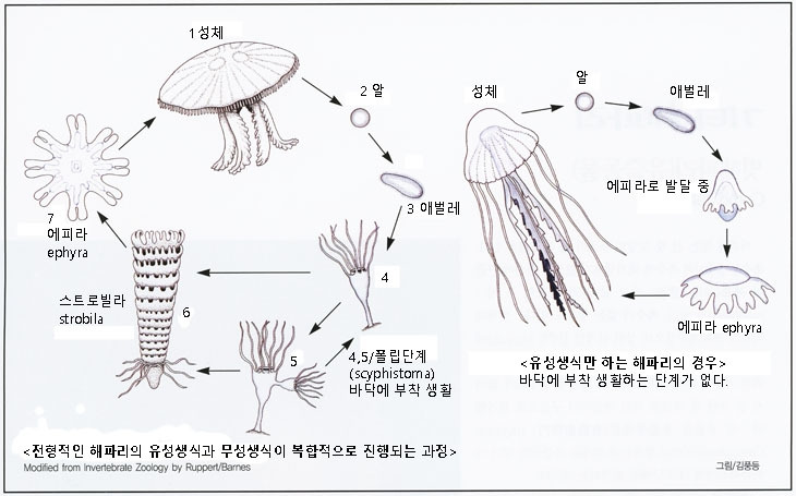 12화 늙은 영웅이여 잘 있거라