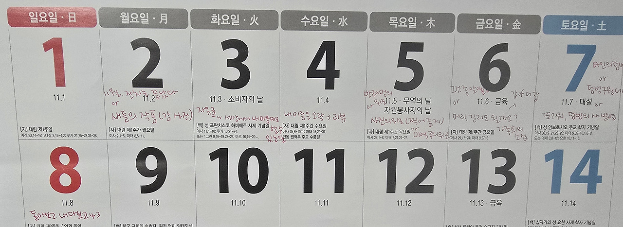 돌아보고 내다보고42
